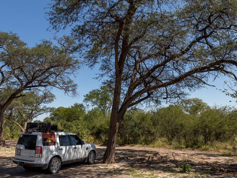 Groepsreis Kamperen & Safari Botswana - Leopard