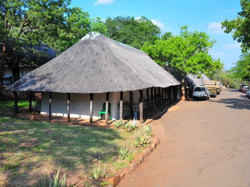 Punda Maria Kruger National Park