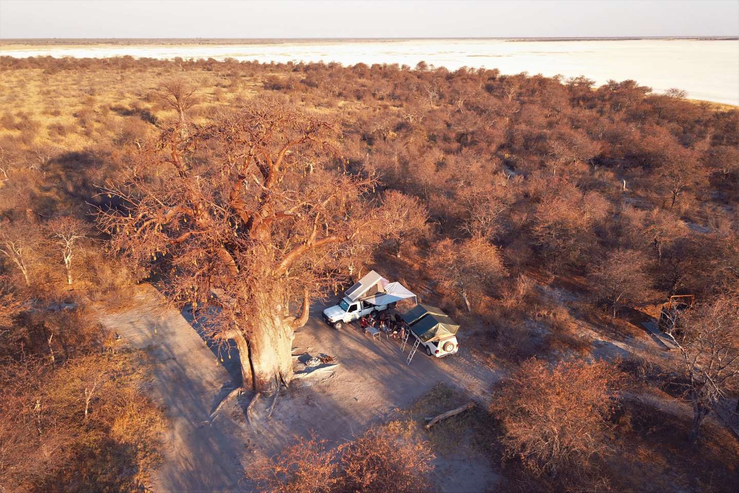Makgadikgadi en Nxai Pans National Park