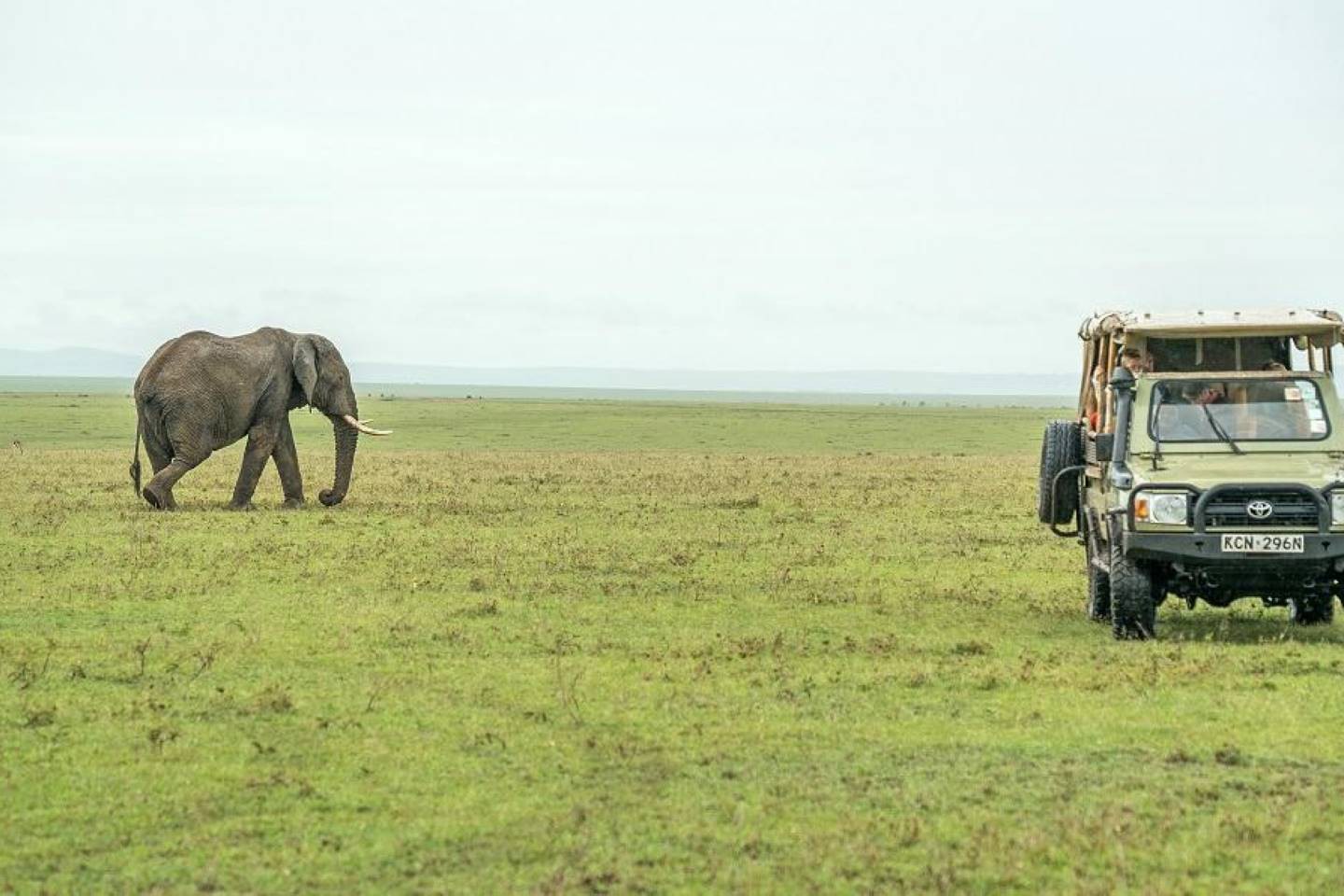 Afbeelding van Game Drive Safari In Masai Mara Kenia Basecamp