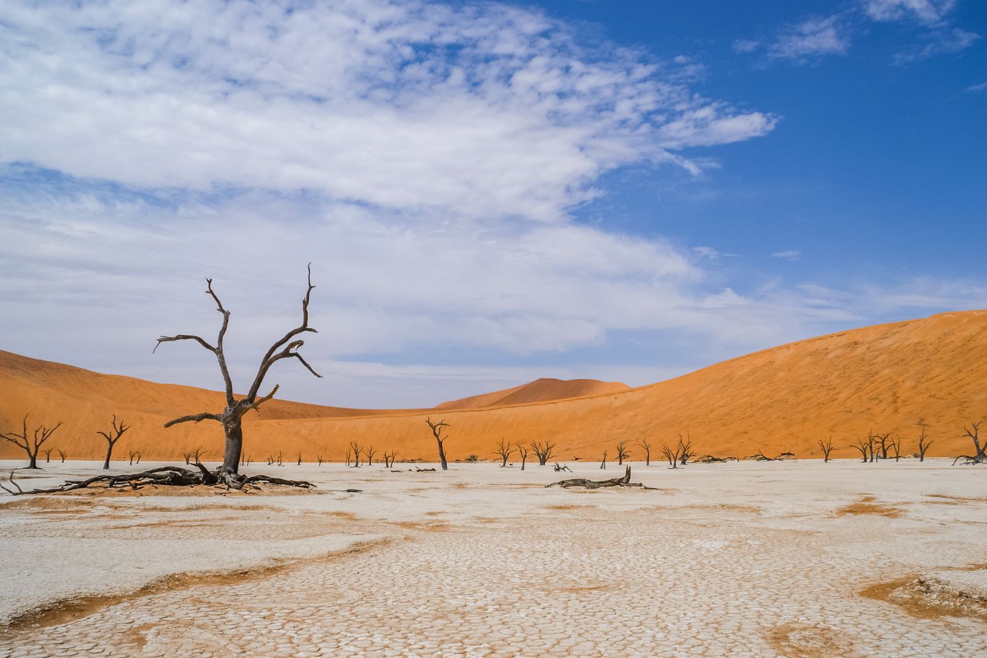 Self-drive Hoogtepunten van Namibië