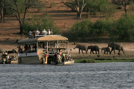 Chobe Elephant Camp 04