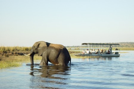 Chobe Elephant Camp 05