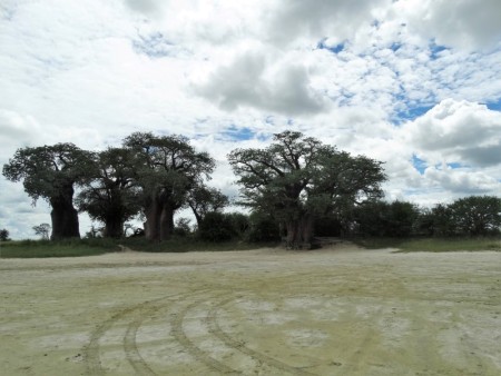 Nxaipan Baines Baobab Restcamp