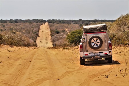 Auto Wildparken Botswana Suid Afrika Reise