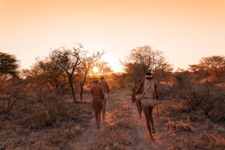 Bushmen Bushways Safari