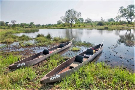 Mokoro Delta Bushways