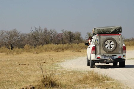 Moremi Auto Suid Afrika Reise
