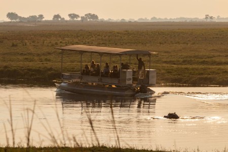 Nijlpaard Chobe Riviersafari Suid Afrika Reise