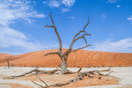 Sossusvlei Death Valley Suid Afrika Reise